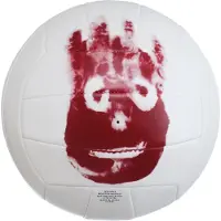 Wilson Castaway Volleyballball