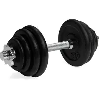 VirtuFit Verstellbare Kurzhantel 15 kg Gusseisen
