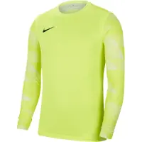 Nike Herren Trikot Dri-FIT Park 4 Goalkeeper JBY