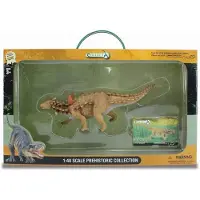 Collecta Geschenkset - Vorgeschichte