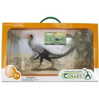 Collecta Geschenkset - Vorgeschichte