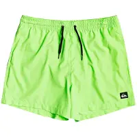 Quiksilver M Everyday Volley 15 Swimshort