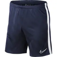 Nike Dry Academy 19 Kurze Hose 12 Years Junge 12 Years