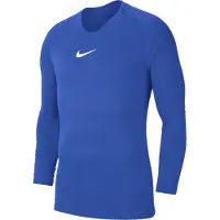 Nike Kinder Trikot Dri-FIT Park First Layer Kids'