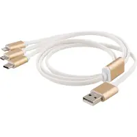 Epzi USB-MULTI10, 1 m, USB A, USB C, Gold, Weiß