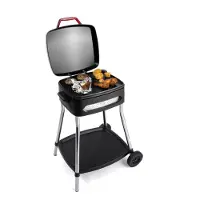 Fritel Elektrischer Grill 2000 W Modell 3278