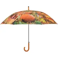 Esschert Design Regenschirm Herbstmotive