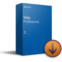 Microsoft Visio 2019 Professional