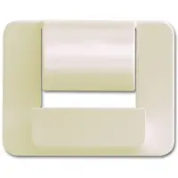 Busch-Jaeger Zentralscheibe für Busch-powerDock 2CKA006400A0068