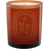 Diptyque Ambre Duftkerze 300 g