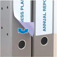 Herma Rückenschild, A4, Rückenbreite 61 mm, ablösbar, 100 Stück, weiß