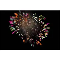 Lensbaby Composer Pro II Canon mit Sweet 35