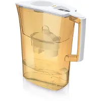 Laica J51AA, Pitcher-Wasserfilter, 3 l, Orange, Transparent