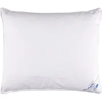 Vandyck Mittelfestes Kopfkissen Kapok, 60?? 70 cm