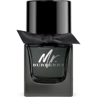 Burberry Mr, Männer, 50 ml, Zimt, Estragon, Holz, Bernstein, Vetiver, Patschuli, Spray