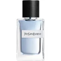 Yves Saint Laurent Y, Männer, 60 ml, Nicht nachfüllbare Flasche, Aldehyd, Geranium, Lavendel, Fir, Incense, Tonka-Bohne