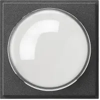 Gira TX 44 Anthrazit Cover Farbkamera - 141567