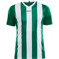 Craft Trikot progress stripe