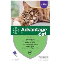 Advantage Nr. 80 Flohmittel (ab 4 kg) Katze