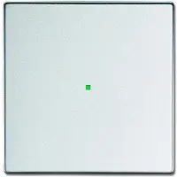 Busch-Jaeger 6230-10-83, Silber, Thermoplast, Schraubenlos, , Matte, Aufspannplatte