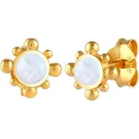 Elli Ohrringe Stecker Mondstein Edelstein Vintage 925 Silber Elli Gold