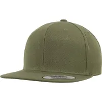 Flexfit Snapback