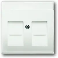 Busch-Jaeger 1710-0-3887, Weiß, konventionell, Jede Marke, 63 mm, 63 mm, 1 Stück(e)