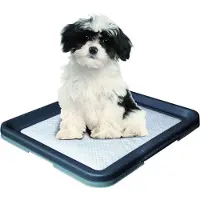 Nobby Doggy Trainer - klein