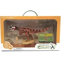 Collecta Geschenkset - Vorgeschichte