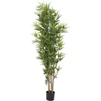 Europalms Bambus Deluxe