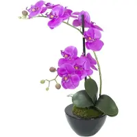 Europalms Orchideen-Arrangement 4, künstlich