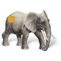Ravensburger tiptoi Spielfigur Afrikanischer Elefantenbulle