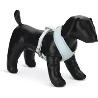 Beeztees Welpe Harno - Hundegeschirr - blau - M