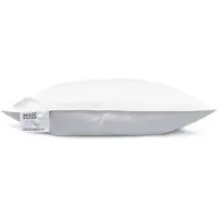 Heckett & Lane Kopfkissen White Daunen