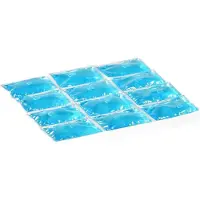 Campingaz Flexi Freez Pack Blau M