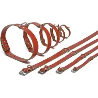 Beeztees BZ LEDERHALSBAND ROT 52X20