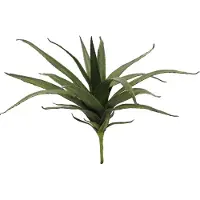 Europalms Aloe
