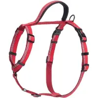 Halti Walking Hundegeschirr | Größe XS, Rot