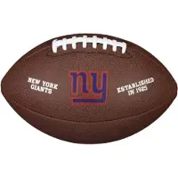 Wilson Nfl Licensed Ball Ng