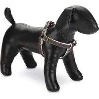 Designed By Lotte Virante - Hundegeschirr - braun - 46-75 cm