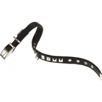 Ferplast Dual 25 Mm 45 Cm Hundehalsband