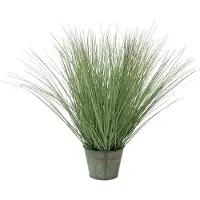 Europalms Ziergras