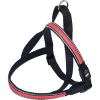 Nobby 78238-01