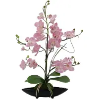 Europalms Orchideen-Arrangement