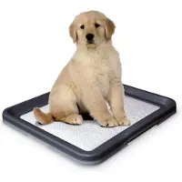 Nobby Doggy Trainer - groß
