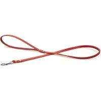 Beeztees BZ LEDERLEINE ROT 100X10