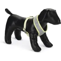 Beeztees Puppy Geschirr, Farbe:grau Bronda, Größe:L