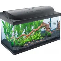 Tetra Aquarium-Komplettset LED Starter Line 105 L schwarz GLO689506166