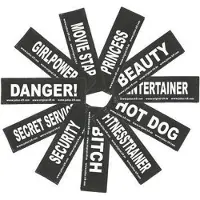 Julius-K9 Julius K9 Label Charmeur - Hundegeschirr - Größe 1 - Größe 4