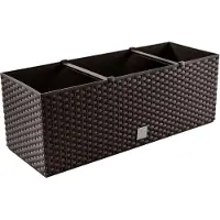 Prosperplast Terra Rato Rectangular 17l 52x20x19 Cm Blumenkasten